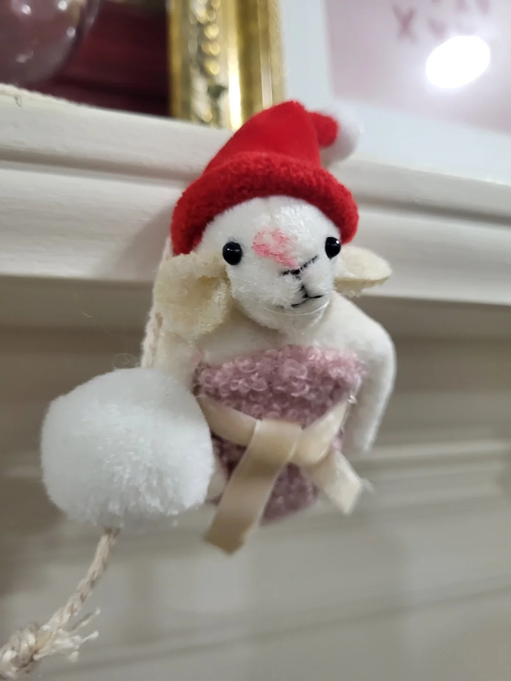 Ashland relaxing mice